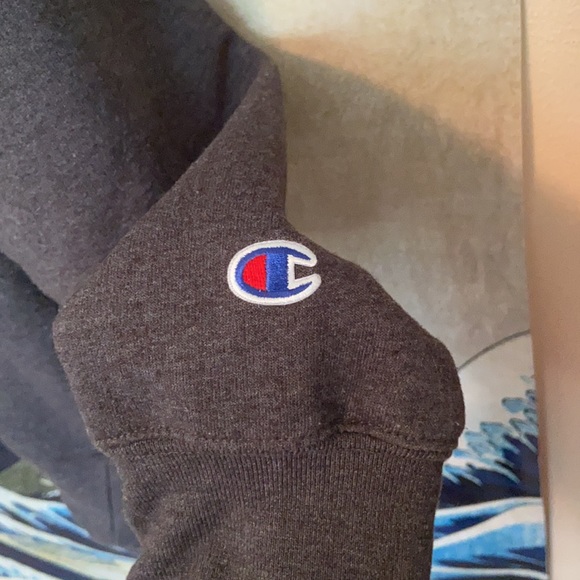 Champion Pullover | Rhodes College - Picture 4 of 4